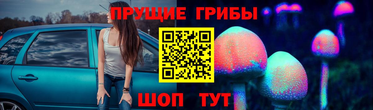 Октябрьский  что такое наркотик  Вход с VPN  Галлюциногенные грибы Psilocybe 